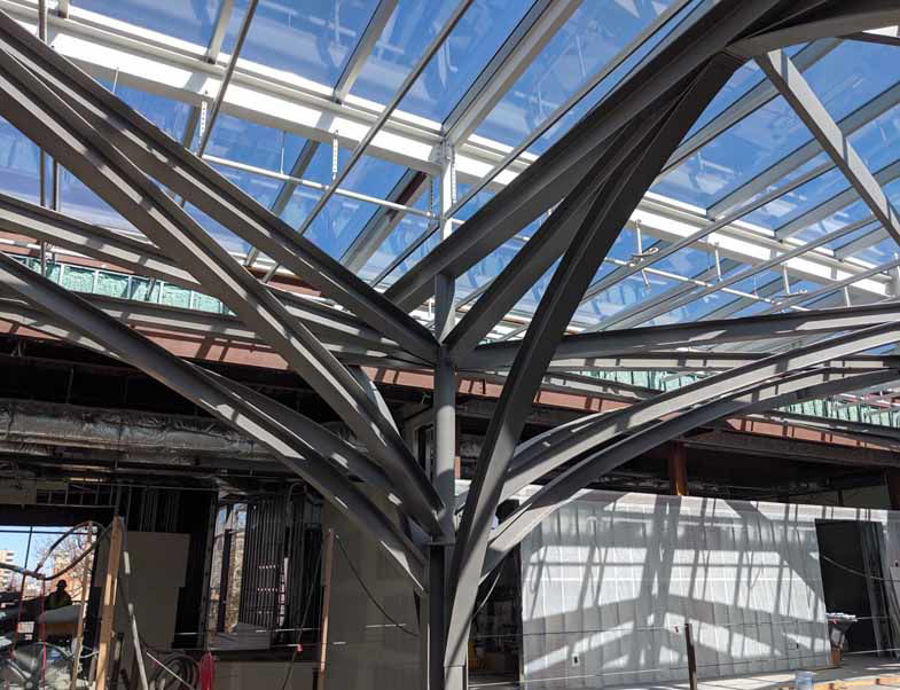 Steel Tree-Like Columns and Curved “Steel” Branches Create a Biophilic-Inspired Archway Entrance for the Freyer-Newman Center at the Denver Botanical Gardens